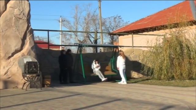 Видеоролик Татьяны Акуловой о Ряжском зоопарке. смотреть онлайн