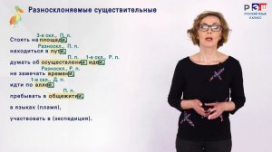 Правописание окончаний существительных и прилагательных