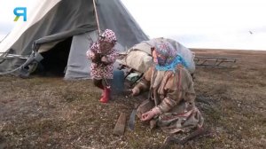 Кочевник | Ясавэй. Кочевник ХХI века