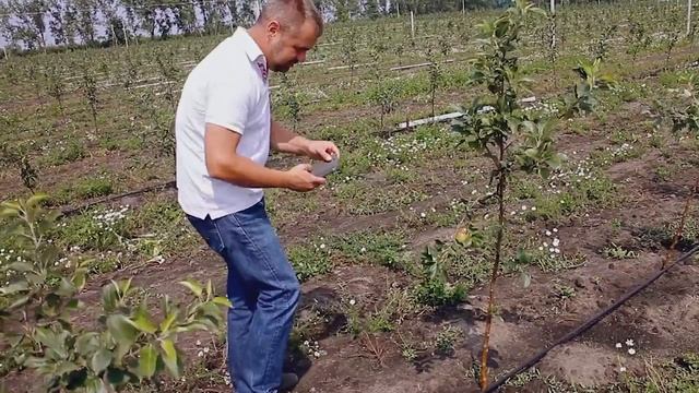 ПАО Курскпромбанк и АО Артель. 10 лет сотрудничества смотреть онлайн