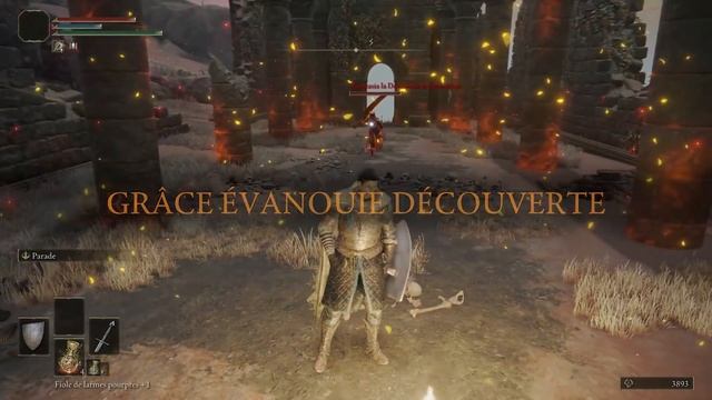 GUIDE-TUTO ELDEN RING † Un Build Force Pure pour débuter avec le Vagabond † FR смотреть онлайн