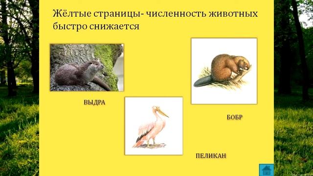 "Путешествие по страницам Красной книги" смотреть онлайн