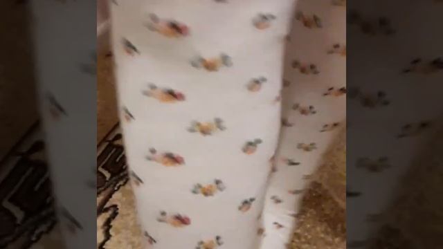 Детские колготки. Каталог 1 смотреть онлайн