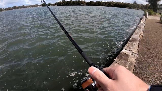 What Happens When You Fish Wrigglers смотреть онлайн