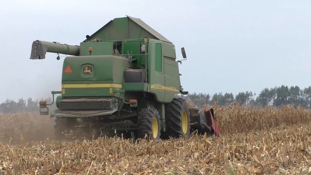 уборка кукурузы на зерно в ОАО Журавлиное смотреть онлайн