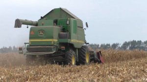 уборка кукурузы на зерно в ОАО Журавлиное