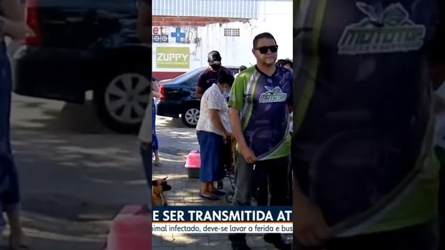 Risco de animais não vacinados transmitirem raiva #prevenir #animais #raiva #veterinaria #vacinas смотреть онлайн