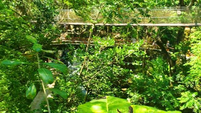 xcaret eco park full tour mexico best attractions смотреть онлайн