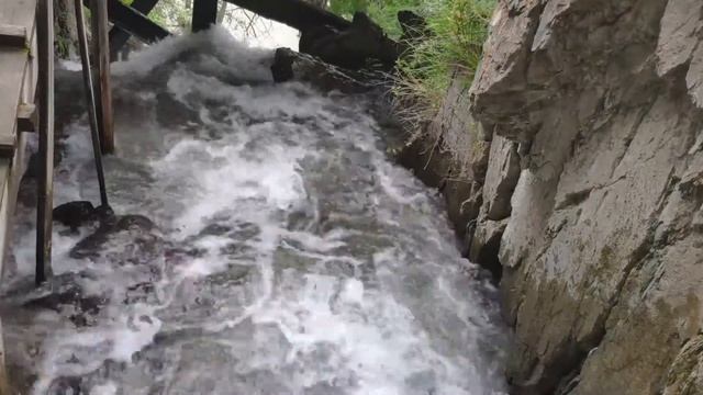 Чемальский тракт. смотреть онлайн