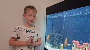 Рыба-змея. Каламоихт