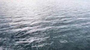 FOOTAGE SEA WATER | looping background | Water Stock Footage | Футаж вода море | Фоновое видео