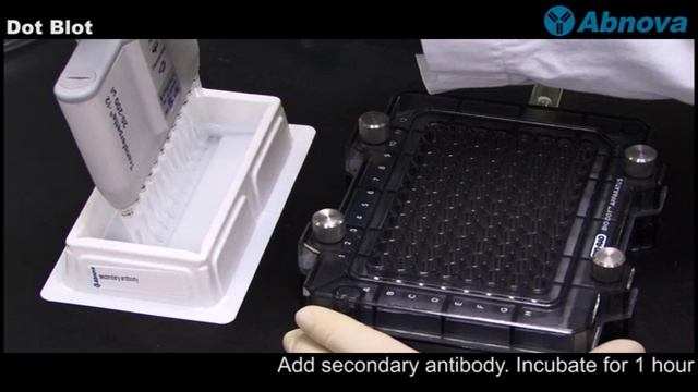 Dot Blot смотреть онлайн