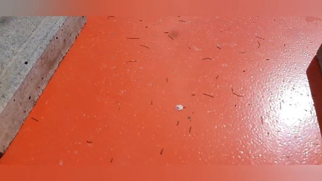 Всё Гудит Работа Выполнена #пчеловодство#пасека#пчёлы#изоляцияматок#Малыхин#Миленин#Гопка#Весна. смотреть онлайн