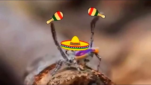 После просмотра видео вы долго будете приходить в себя! ВПЕЧАТЛИТЕЛЬНЫМ смотреть обязательно! смотреть онлайн