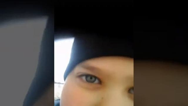 Жизнь моей собаки Тайсон смотреть онлайн