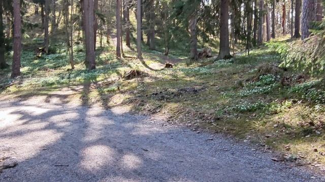 дилетантский обзор Xiaomi Mi 10t Pro