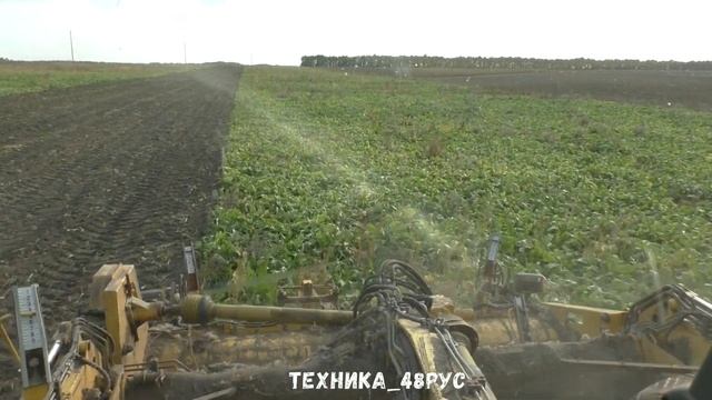 Свеклоуборочный комбайн Ropa Euro - Tiger Машина 2002 года Уборка сахарной свёклы в Липецкой област смотреть онлайн