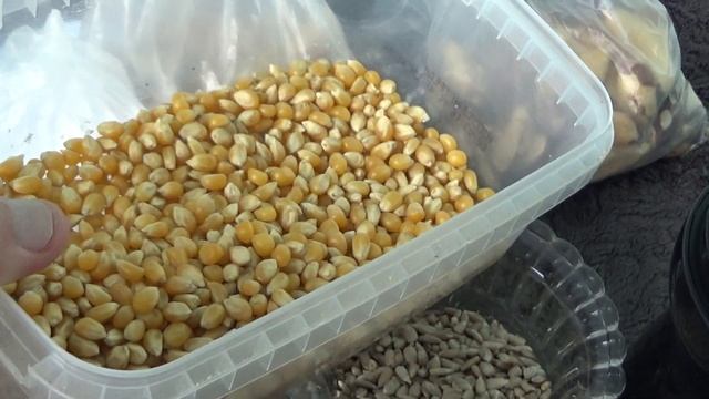 Tefal GT110838 Grinder Unboxing and Test смотреть онлайн