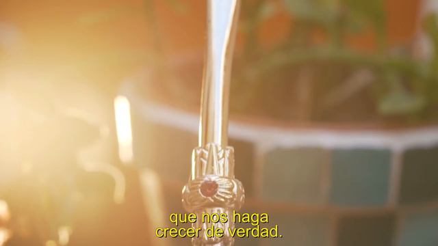 Preparando el Mate смотреть онлайн