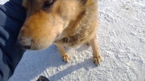 Установка коробки камаз окончание работ.