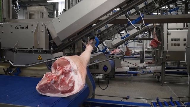 НАШИ ЛЮДИ - Екатерина Саввина, тренер по жиловке АГРОЭКО смотреть онлайн