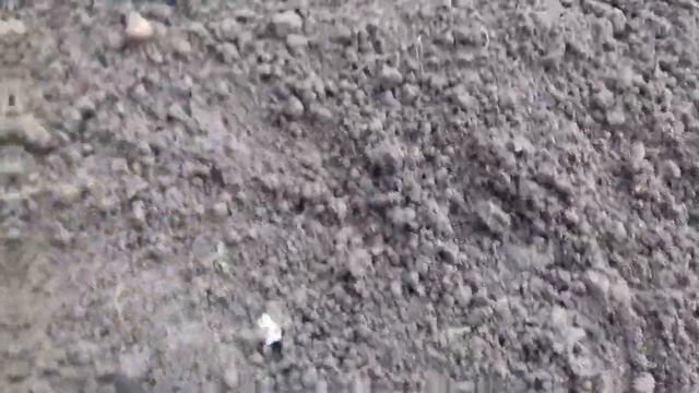 Как сажать чеснок и лук под зиму . смотреть онлайн