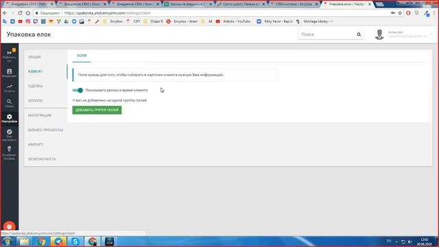 Пример реального внедрения EnvyCRM. Упаковка елок смотреть онлайн