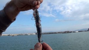 Ловля ОСЬМИНОГА от А до Я