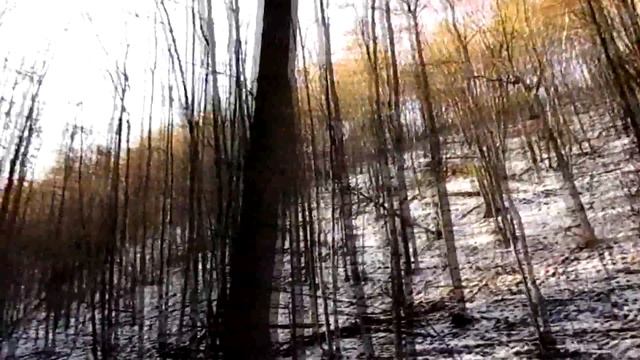 Прогулка 10.12.15. Жигулевск-Бахилово-Моркваши