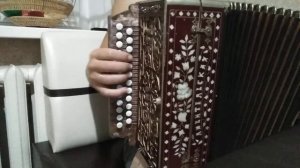 Гармонь Любительская Ре диез