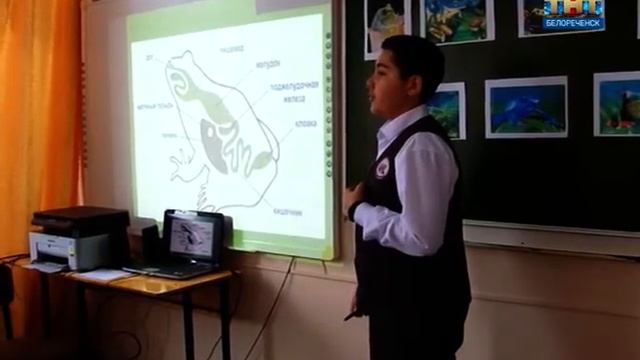 Фестиваль открытых школьных уроков