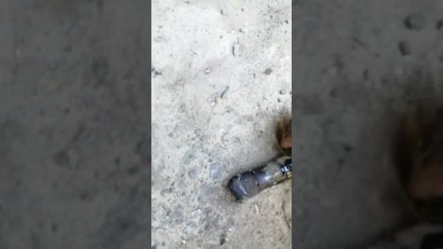 Вылетел палец тормозной колодки заднего моста на тягаче Маз, смотреть онлайн