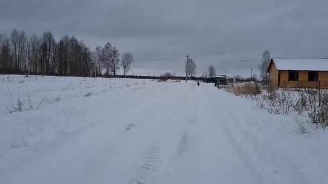Фен для Морошки, странное поведение Кари и рыцарь на синем коне смотреть онлайн