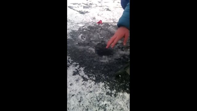 щука на жерлицу смотреть онлайн