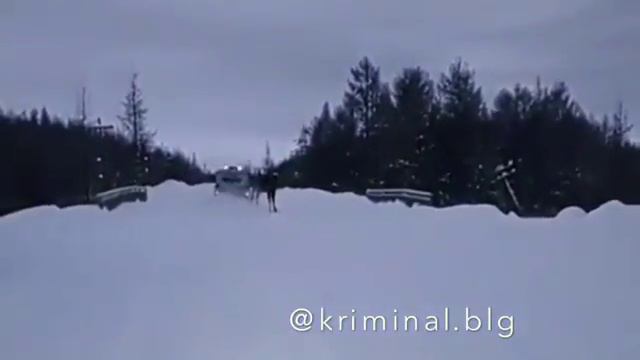 Атака лося на служебный УАЗ в Тындинском районе смотреть онлайн