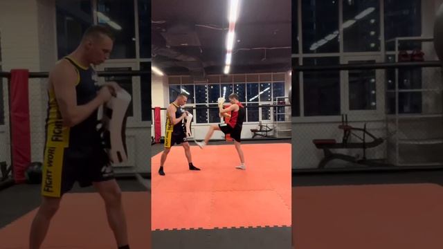 Макивара для единоборств смотреть онлайн