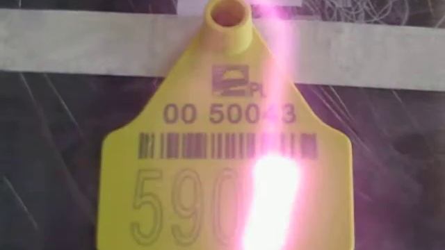 Лазер пластик (бирка) смотреть онлайн