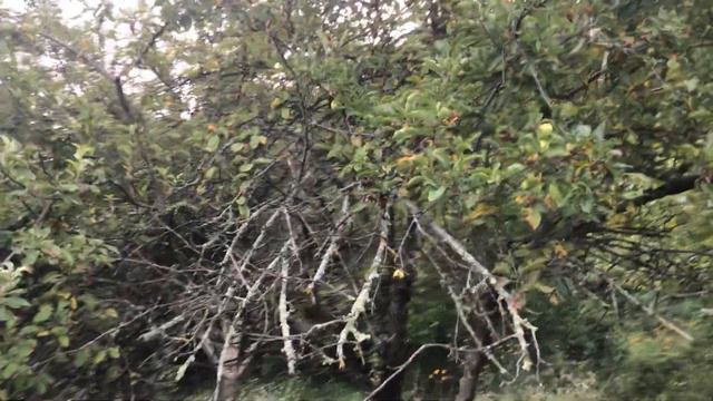 Участок 9.8 в Адлере Бестужевское с непрекрываемым видом на город и горы! смотреть онлайн