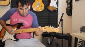 Fender Stratocaster Standard Mexico 2002