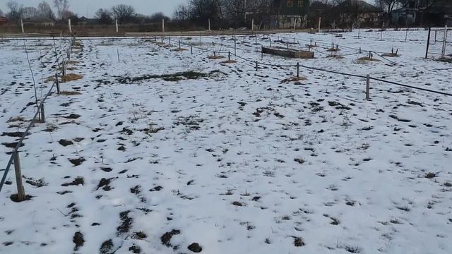 Что такое ВЛАГОЗАРЯДНЫЙ ПОЛИВ? Нужен ли влагозаряд?✓ когда и как смотреть онлайн