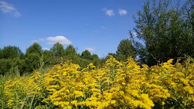 Врач сделал заявление о допинге Камилы Валиевой смотреть онлайн