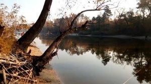 Худяки, Кучугуры, рыбалка