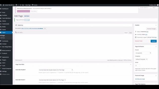 Foundry WordPress Theme - Using Tabs, Sliders And More