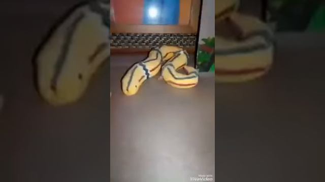 Я грею счастье внутри смотри.Песня смотреть онлайн