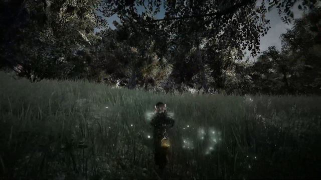 Black Desert Дуб,терновник и ясень смотреть онлайн