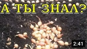 Посадка ЛУКА на перо