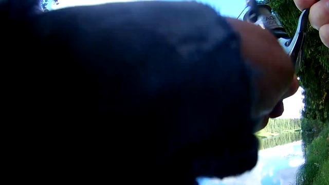 Рыбалка | Плотва, Оредеж, Вырица, Поселок. Часть 1 | Чемпион Берлина