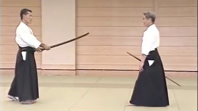 Aikido - Irimi Nage