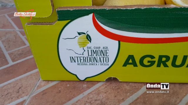 SICILIA Limone Interdonato Messina IGP, eccellenza Siciliana смотреть онлайн
