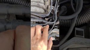 Ауди А6 С4 двигатель 2.6-2.8 свечные провода , правильное расположение